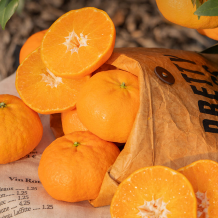 [마지막특가] 최고품질 제주 레드향 못난이10kg, 1박스, 1박스, 10kg(혼합과) 51,800원