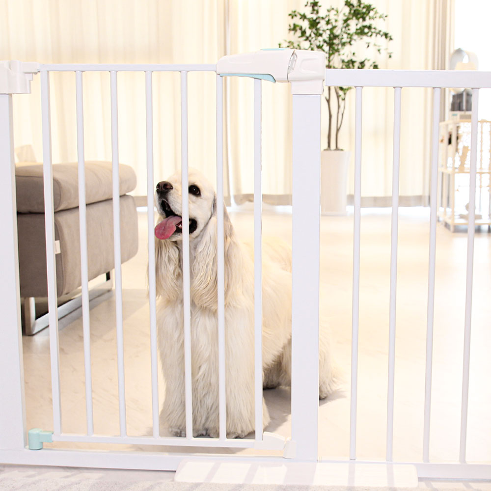 펫초이스 프리미엄 반려견 강아지 안전문, 화이트, 1개 46,900원