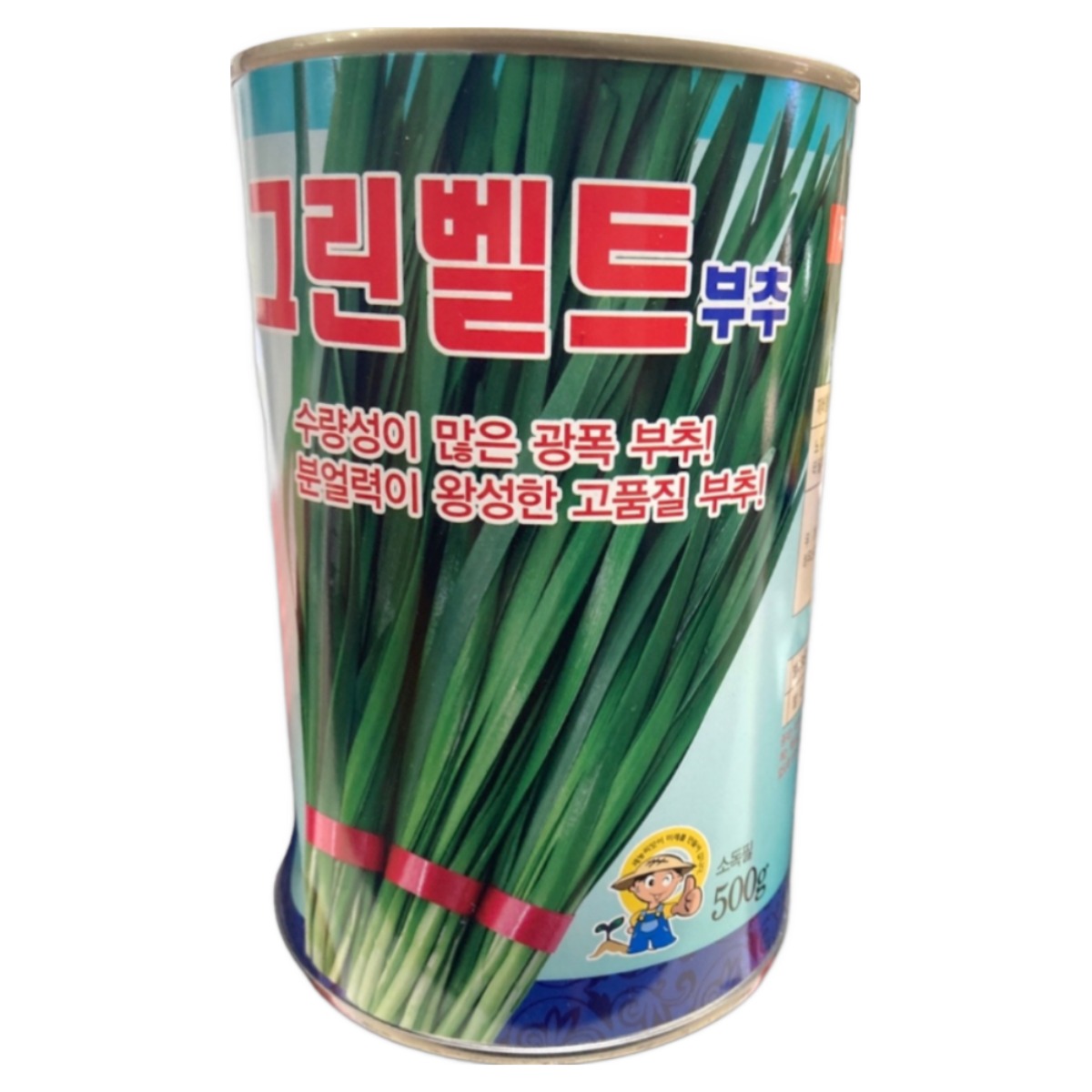 그린벨트 부추 씨앗 500g 광폭형 잠자는 정구지씨 분얼력이 왕성한 전문가용 휴면부추종자, 1개 55,000원