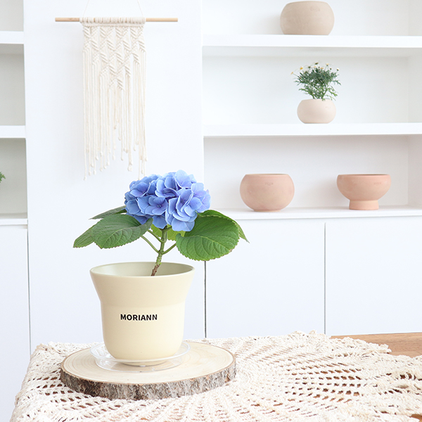 모리앤 튤립팟 도자기화분 7,900원