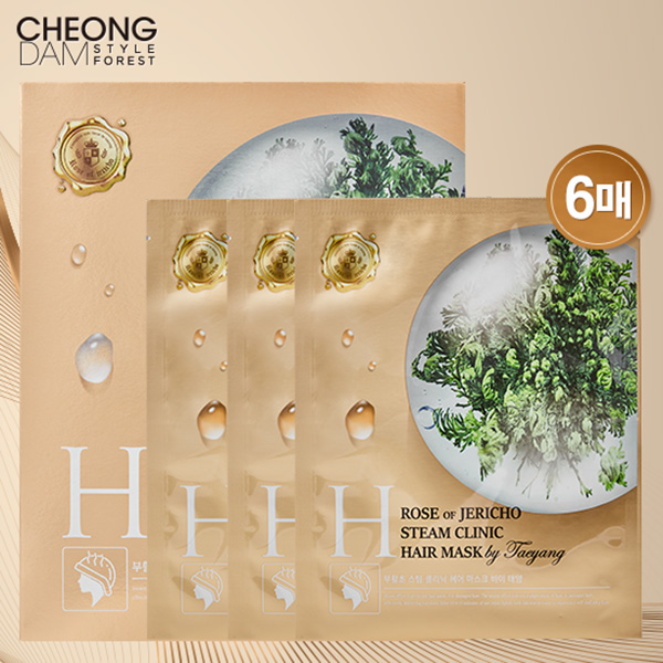 청담스타일 포레스트 부활초 스팀클리닉 헤어팩 2박스 (6매), 40g 21,900원