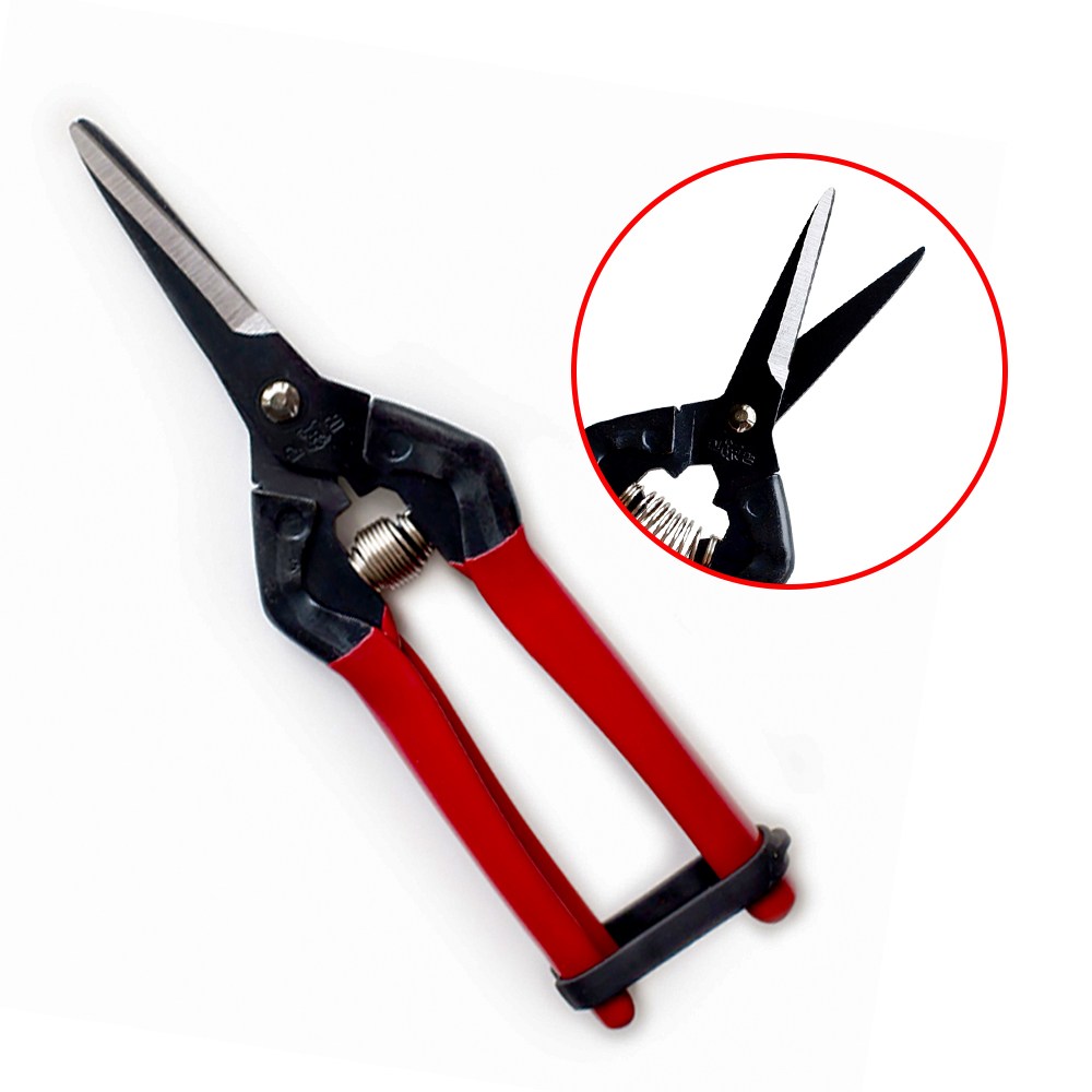 신성 적과가위(직선날) 전정 전지 원예 플로리스트 SB303, 10개 48,500원