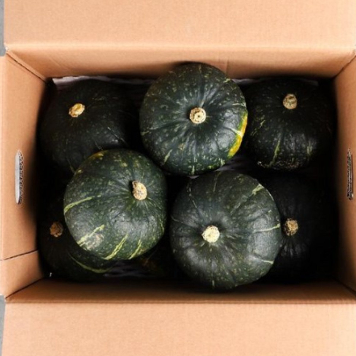 특가 노씨고집 국내산 유명산지 단호박, 1개, 5kg 25,500원