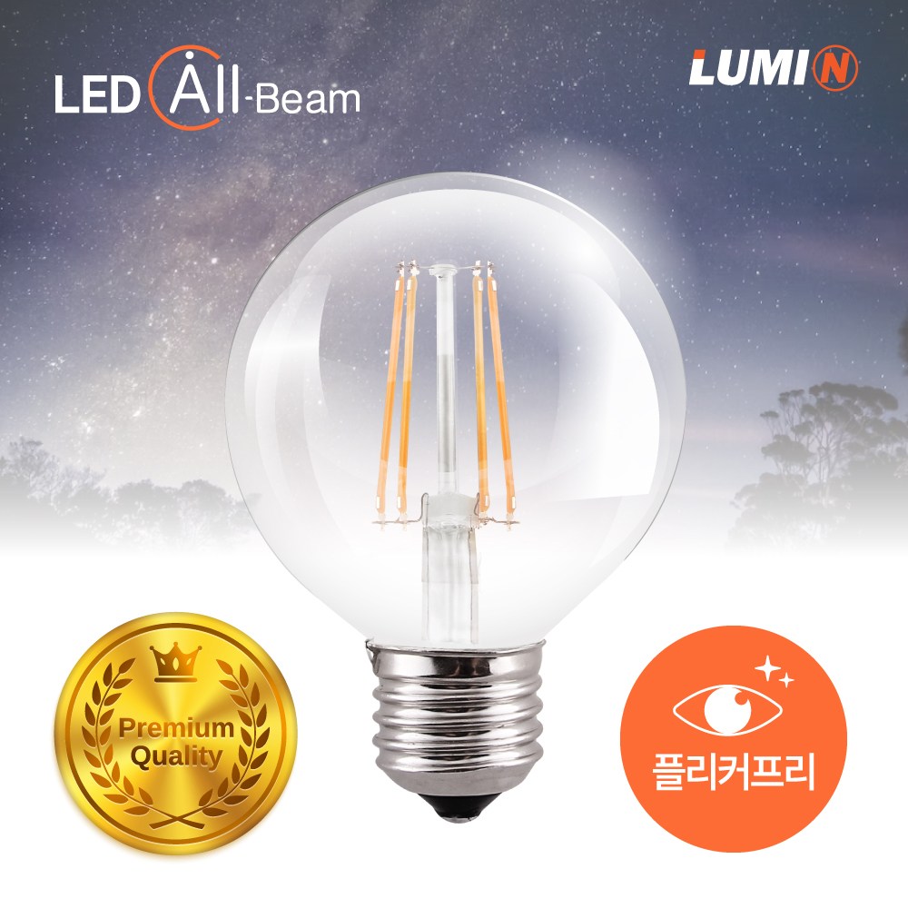 루미앤 LED 프리미엄 필라멘트 에디슨 램프 8W G95 6,000원