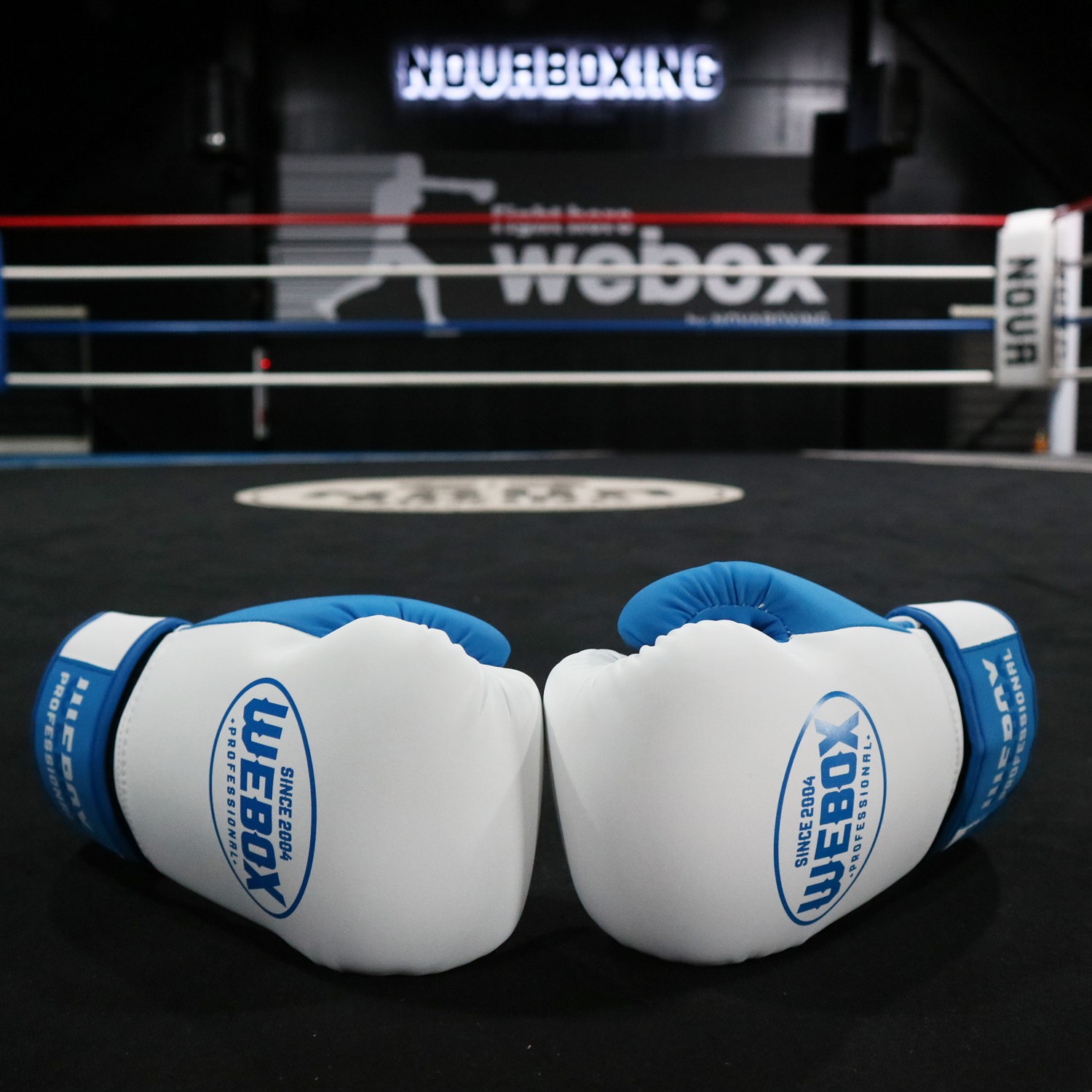 NOVABOXING 노바복싱 626 복싱글러브, 1세트, 파랑 56,350원