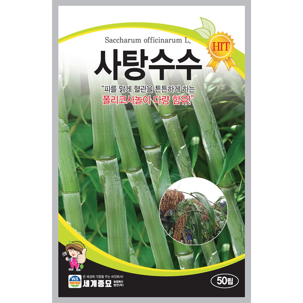 사탕수수 씨앗 50립 / 단수수 씨앗 종자 텃밭 이색종자 폴리코사놀 4,000원