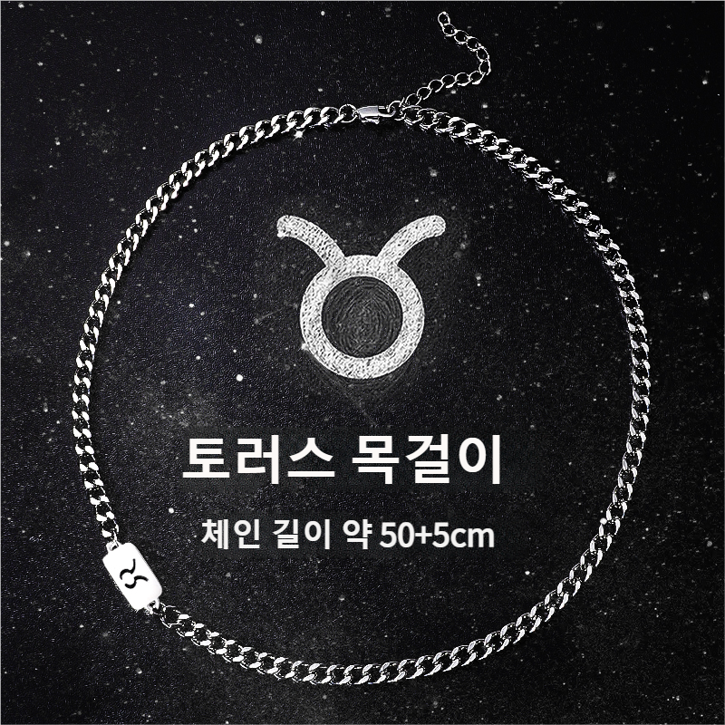 LOVFAS 별자리 12별자리 목걸이 체인 남녀공용 커플 선물 생일 기념일 맞춤 행운 액세서리 8,900원