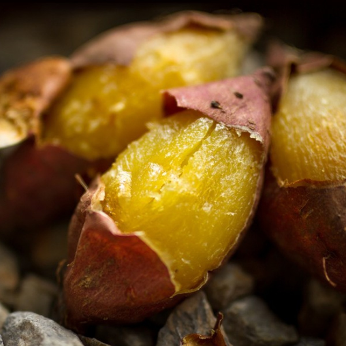 산지직송 해남 꿀고구마 베니하루카 비세척 황토 고구마, 1박스, 꿀고구마 특상10kg(비세척) 24,190원
