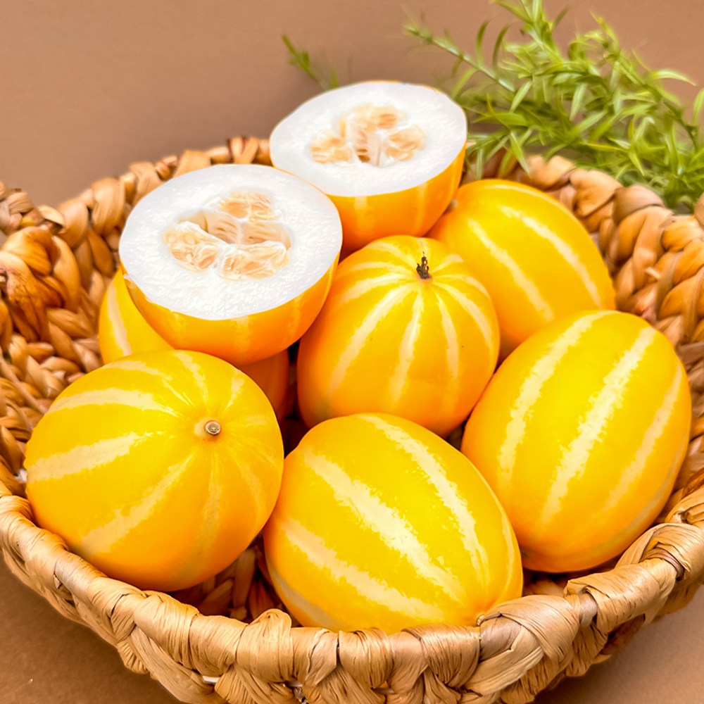 성주참외 꿀참외 산지직송 가정용 선물용 정품 24,900원