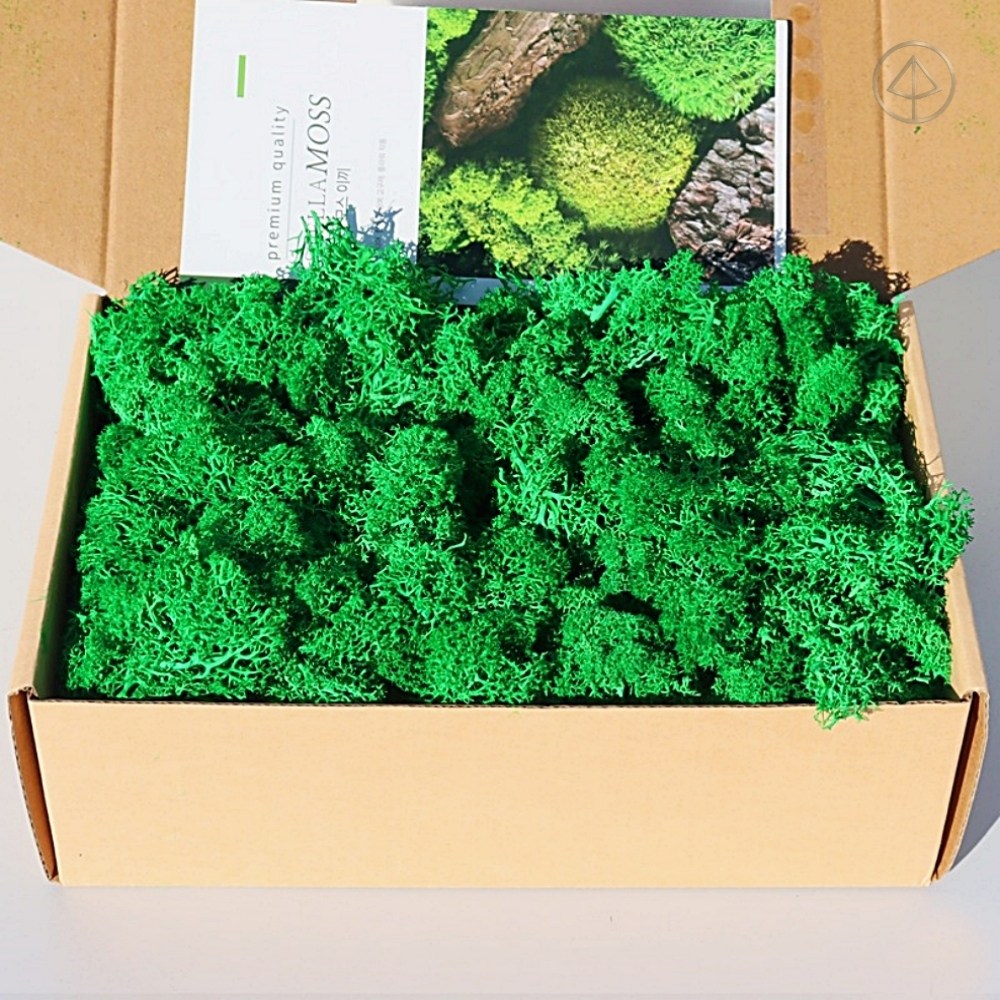 스텔라 천연 모스이끼 포레스트그린 200g 플라워데코용 식물소재 15,300원