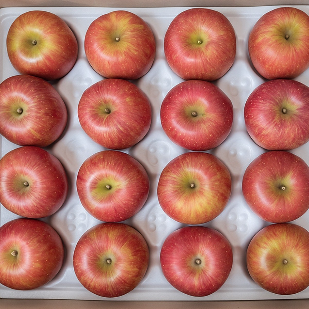 ( 얼음골 농원 ) 청송 고당도 부사 사과 선물용, 1개, 대과 5kg (정품) 66,500원