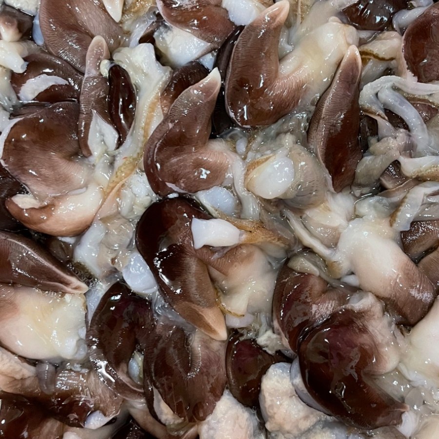 여수 새조개 순살 완전손질 초코새조개 1팩 200g내외 52,900원