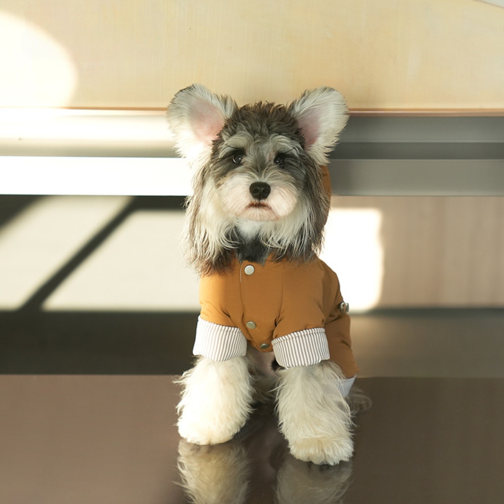 강아지 옷 겨울 옷 세일 후드 패딩 강아지 패딩 애견 강아지옷, 1개, 브라운 35,280원