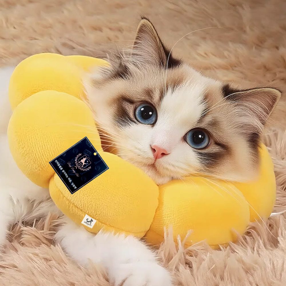 딩동펫 반려동물 폭신 해바라기 넥카라 6,800원