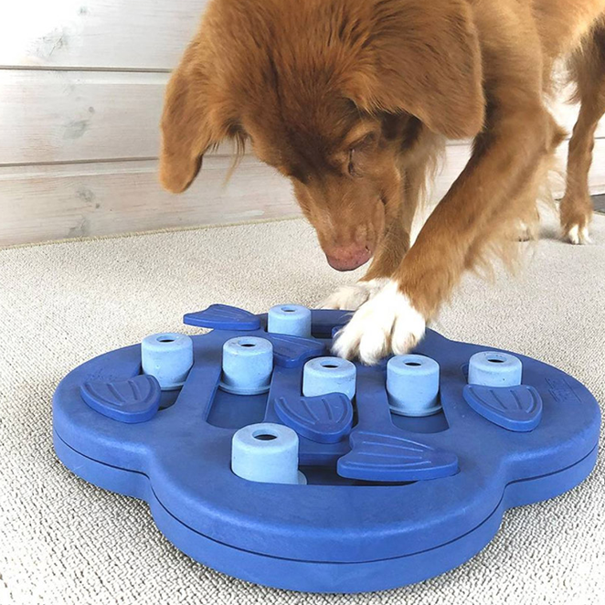 니나오토슨 하이드 앤 슬라이드 강아지 IQ 장난감 32.5 x 32.5 x 3 cm 22,400원