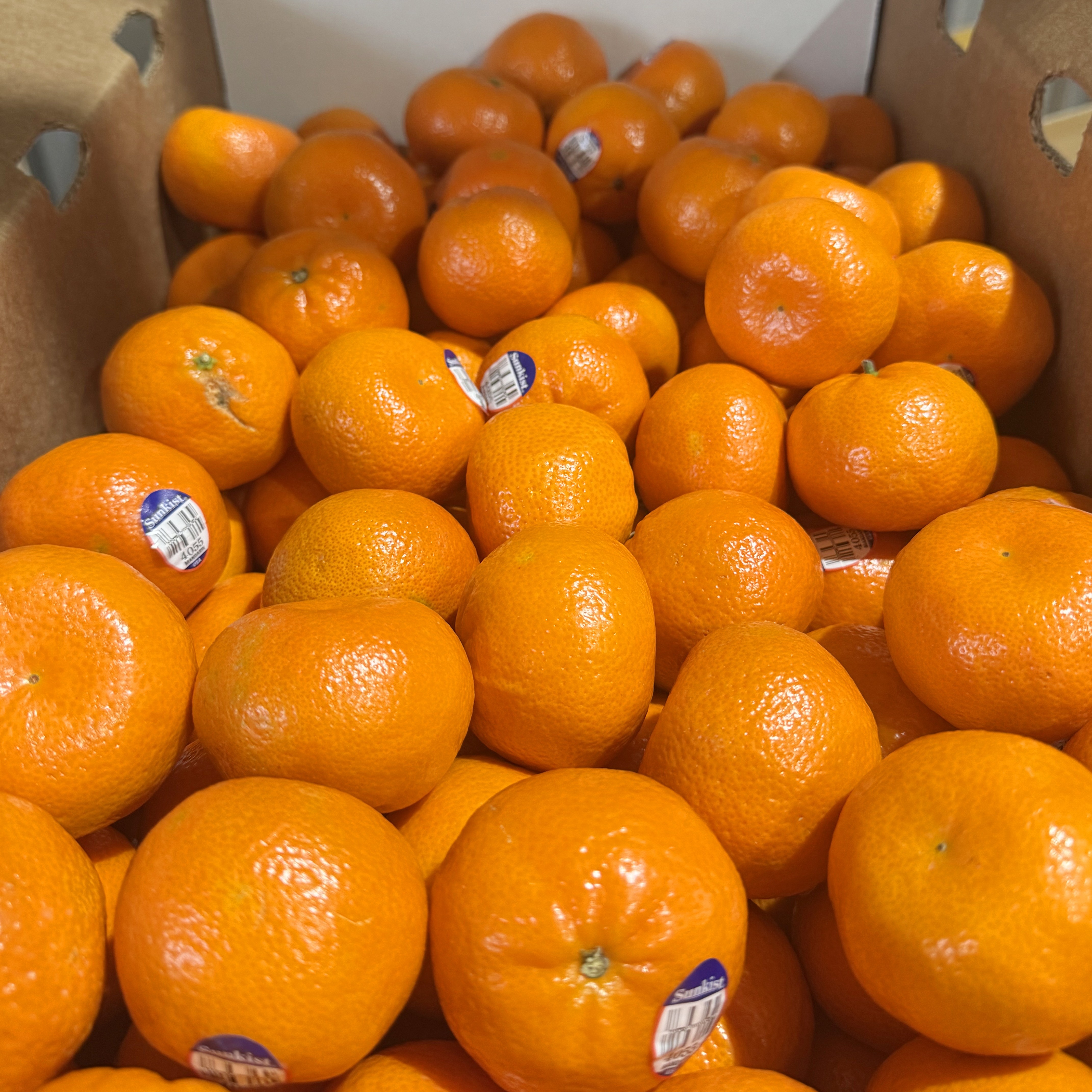 [썬키스트 프리미엄] 미국산 고당도 달콤 만다린, 1박스, 9kg 145,000원