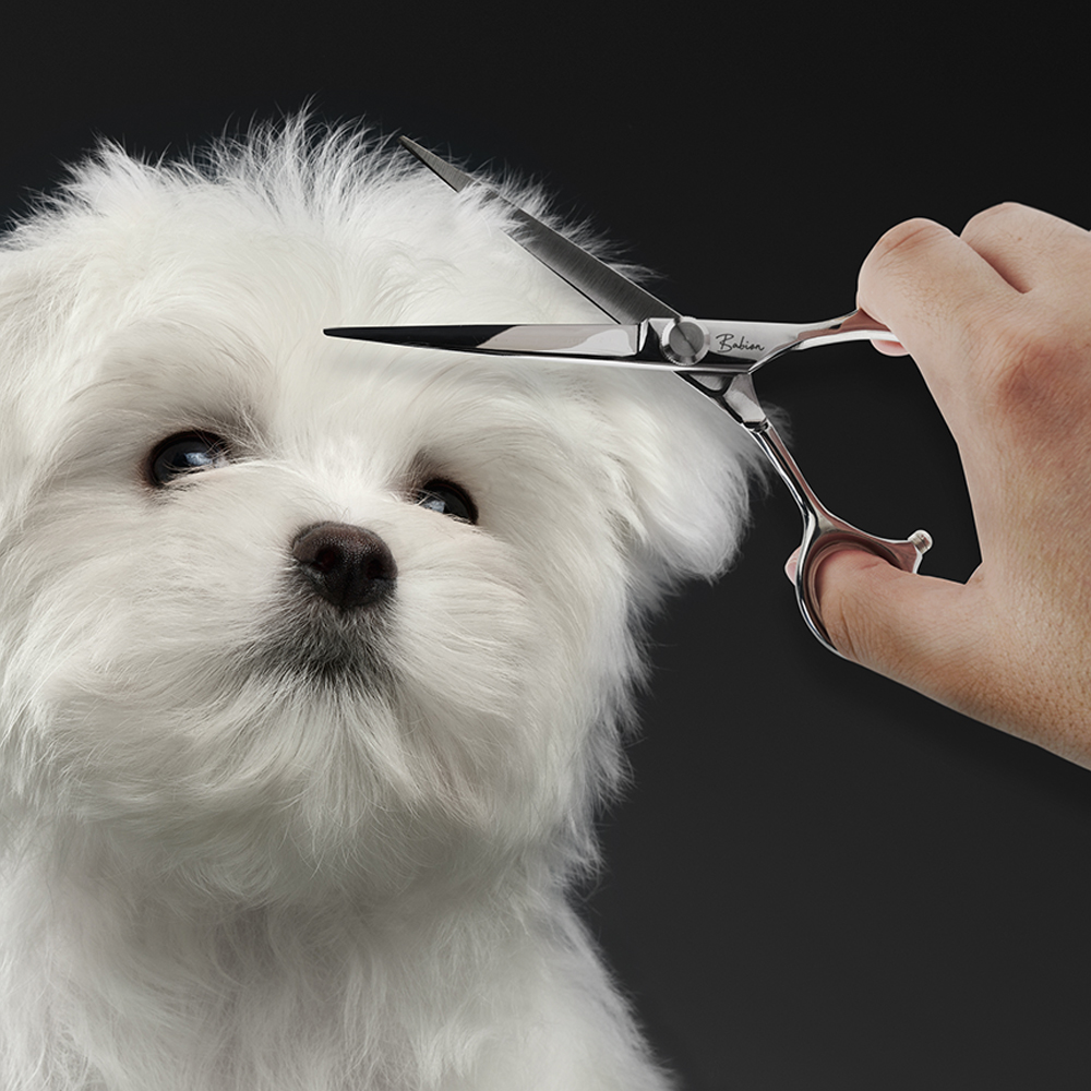 바비온 강아지 고양이 EL 6 일자 미용가위 5.4 x 17.5 cm E2-601S 17,900원