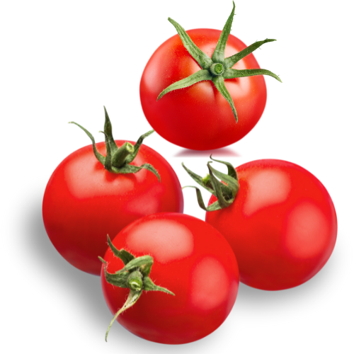 [지앤에프농업회사] 과즙팡팡 !! 당도폭발!! 완숙토마토 로얄중과/ 대과 / 주스과 구성 당일수확 당일발송, 1박스, 로얄/중과/ 3kg 13,400원