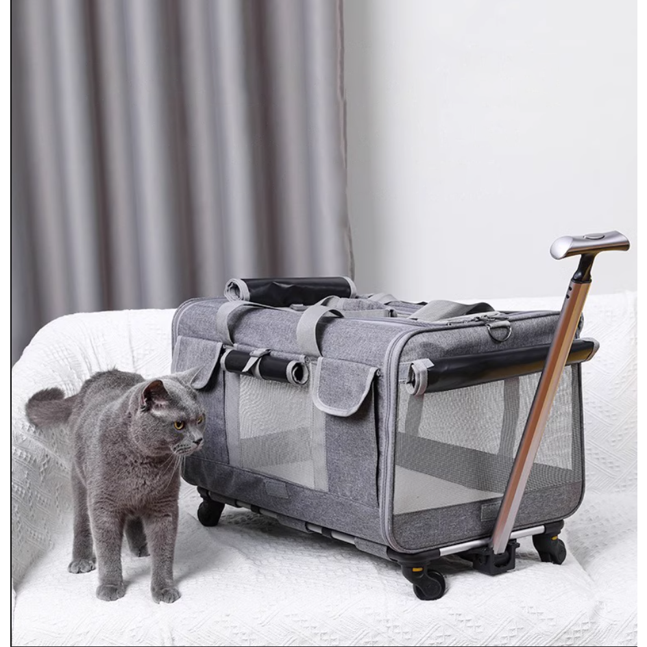 쬬린 편리한 이동 반려동물 캐리어 39,900원