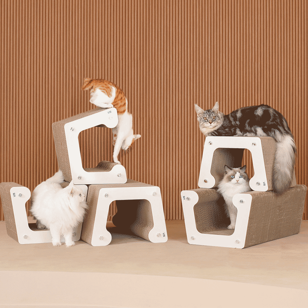 냥쌤 플레이그라운드 스크래쳐 수평 수직 리필형 터널형 조합형 대형 69,000원