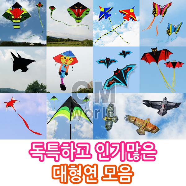 씨엠월드 유니크한 인기만점 대형연 모음 선택(낙하산 천 재질), 03_2.비행기연 파랑 12,000원