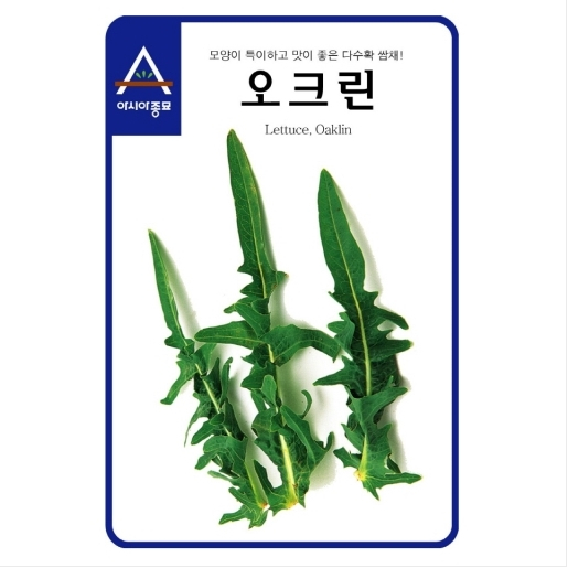 슬로시 쌈채 씨앗 상추 공심채 종자 3,000원