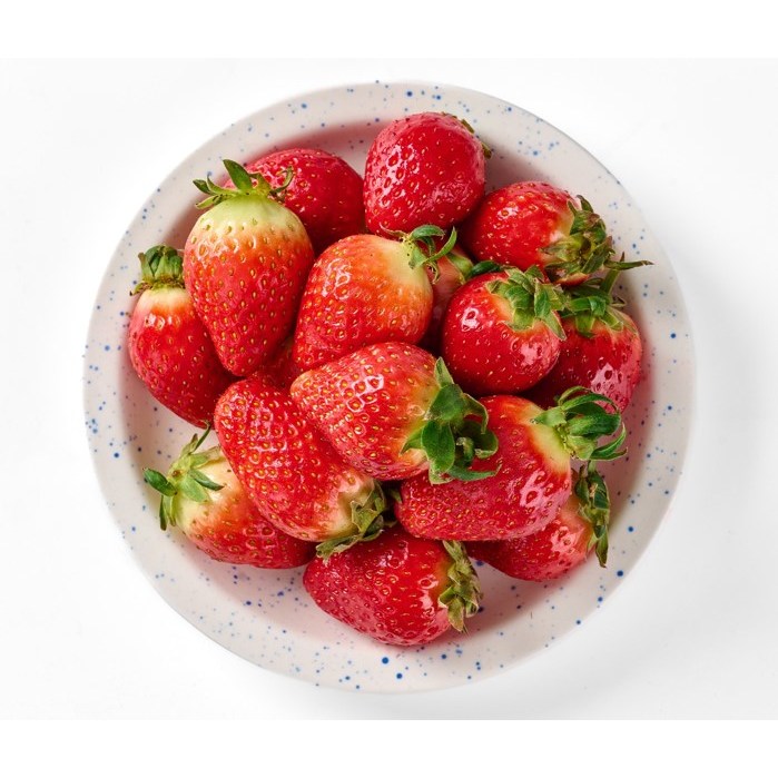 [산지직송센터] 최상급 제철 설향딸기 특대과, 1박스, 500g 대 14,900원