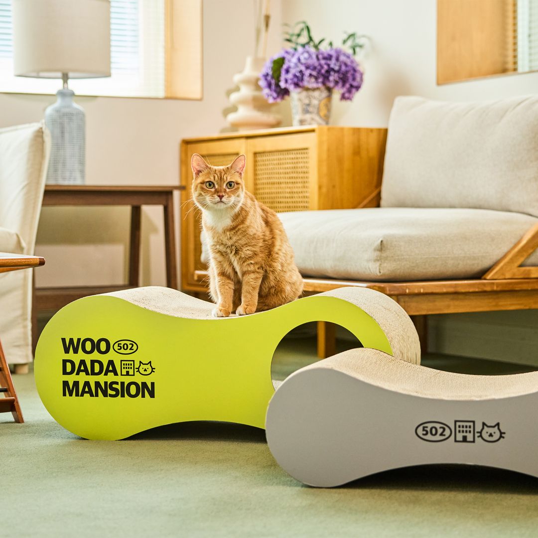 우다다맨숀 2 in 1 더블보드 스크래쳐, 1개, 그린 42,900원