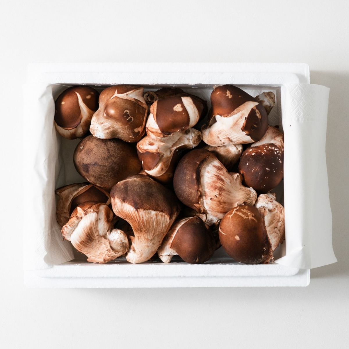 무농약/GAP인증 참송이버섯 가정용500g 1kg 2kg 4kg 건강한 밥상, 향긋한 자연 22,000원