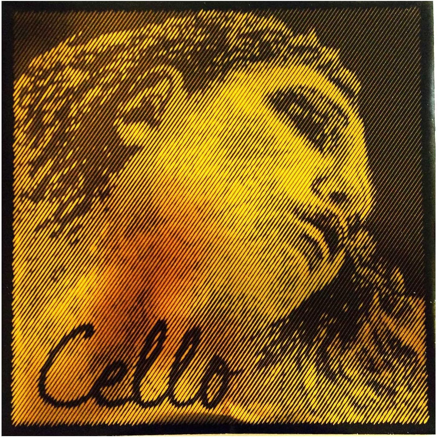 에바피라찌 골드 첼로 줄 낱선 현세트 4/4, 1개 171,000원