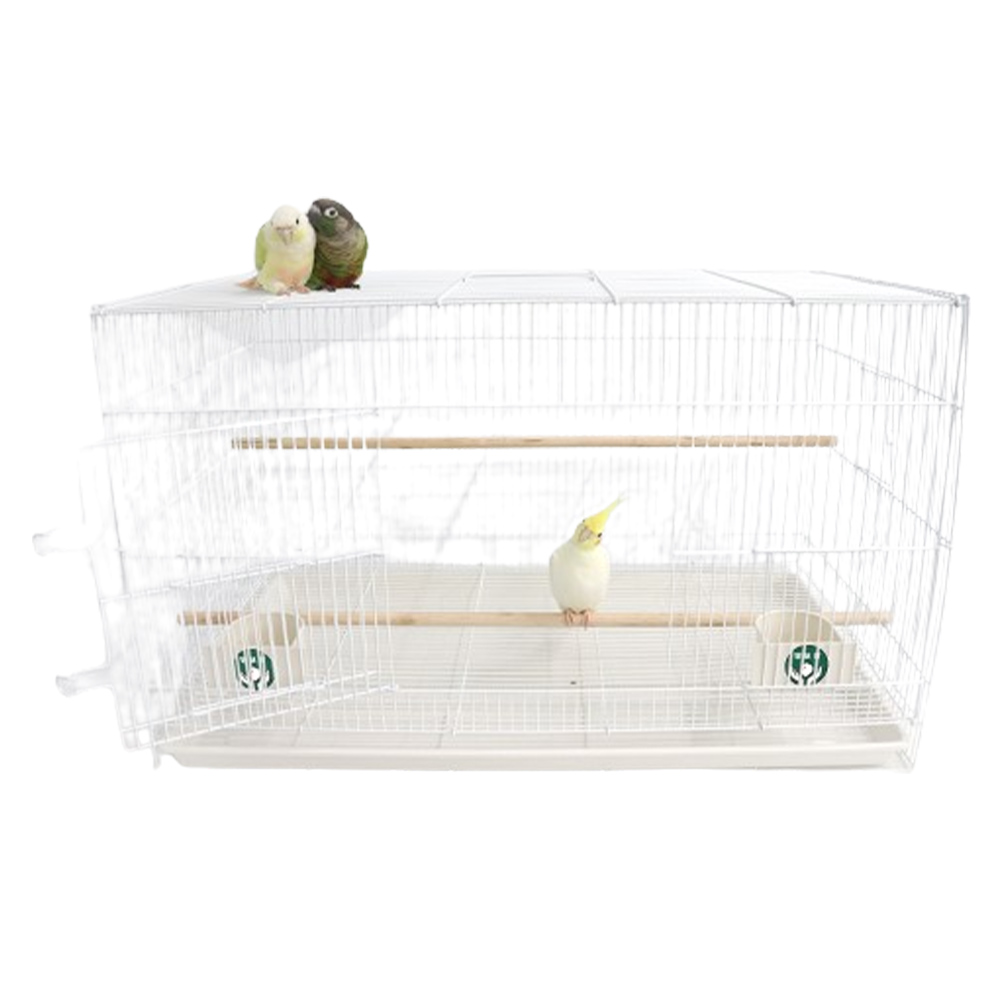 리프패럿 안전 앵보장 700새장 중대형 48,500원