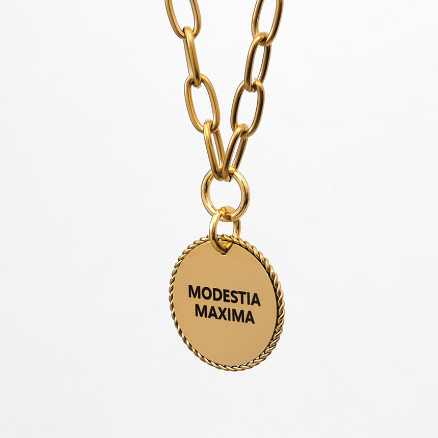 MX PET 로프 펜던트 링크 체인 목걸이 356X 강아지 고양이 각인, 1개, 골드 28,900원