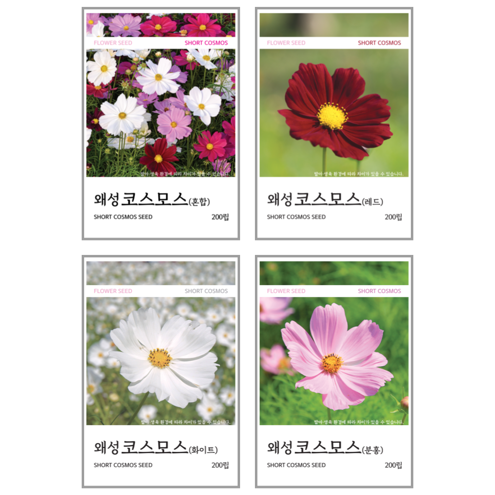 새싹바라기 왜성코스모스 씨앗 4종 7,900원