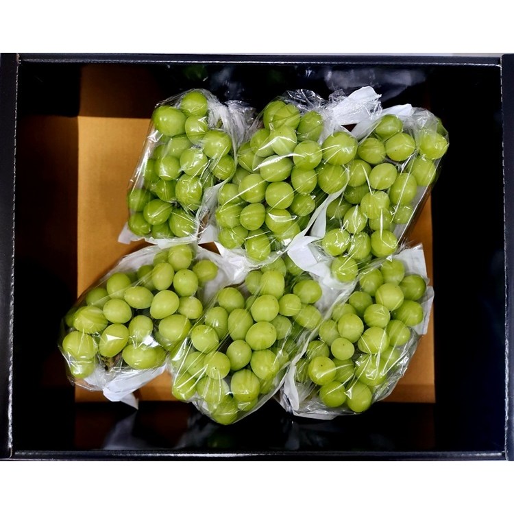 프리미엄 설 명절 과일 선물세트 사과 배 샤인머스켓 곶감, 7세트 32,200원