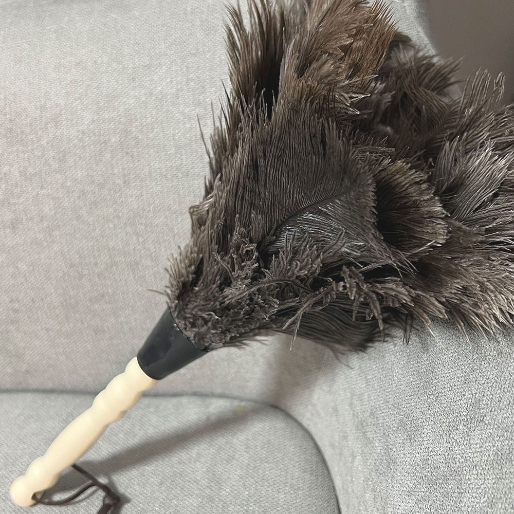 마이홈 타조털 먼지떨이, 1개, 단일 11,000원