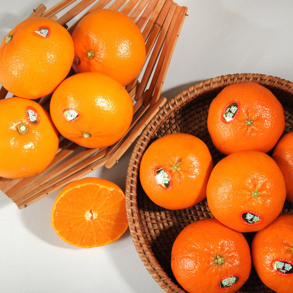 새콤달콤 만감류(천혜향&레드향) 29,000원