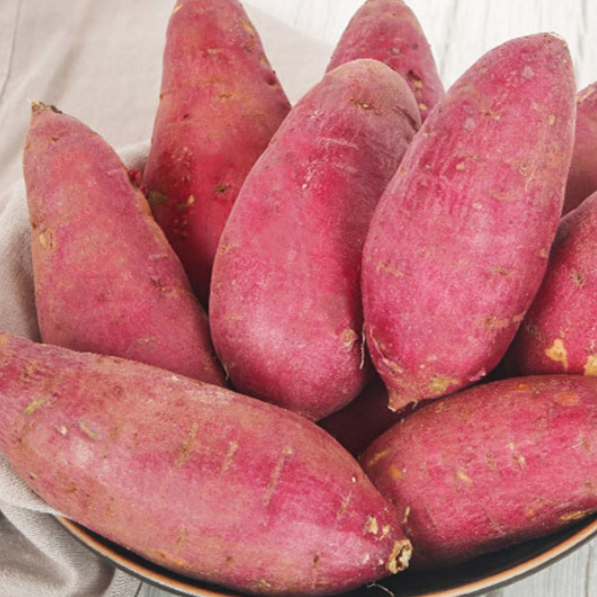 해남 민경일 세척 무농약 꿀고구마, 1개, 5kg 특상 19,840원