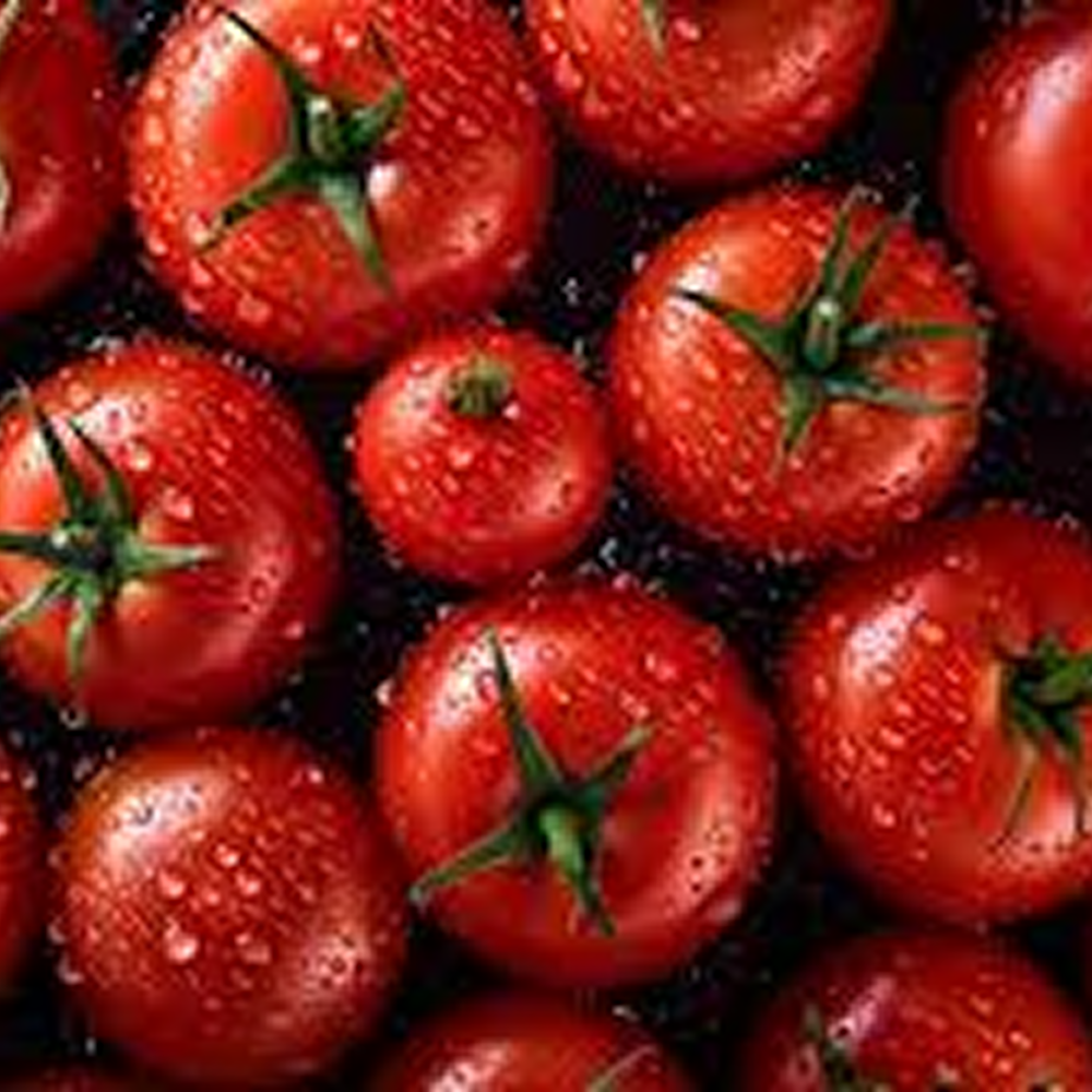 [특품로얄과] 당일수확 고당도 대추방울토마토 2kg 산지직송 GAP인증, 1박스, 1k 14,380원