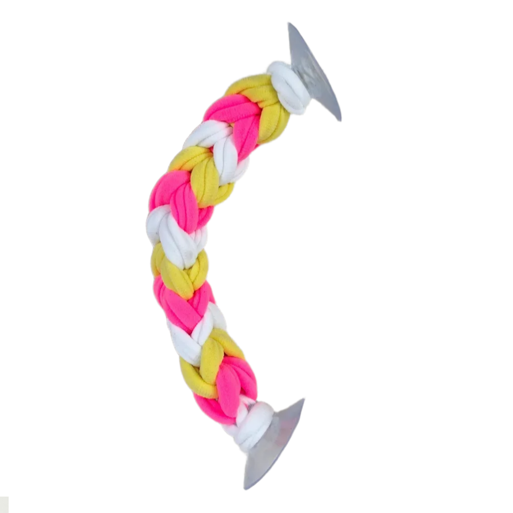 도마뱀 크레스티드게코 양말목 백업 8,900원