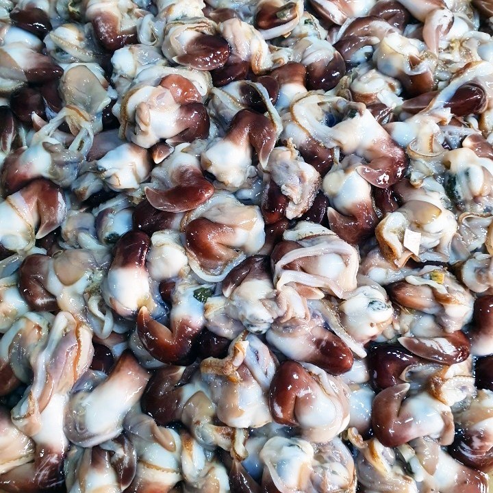 [산지직송] 여수 최상품 손질새조개 실중량 200g 당일조업 당일손질 27,400원