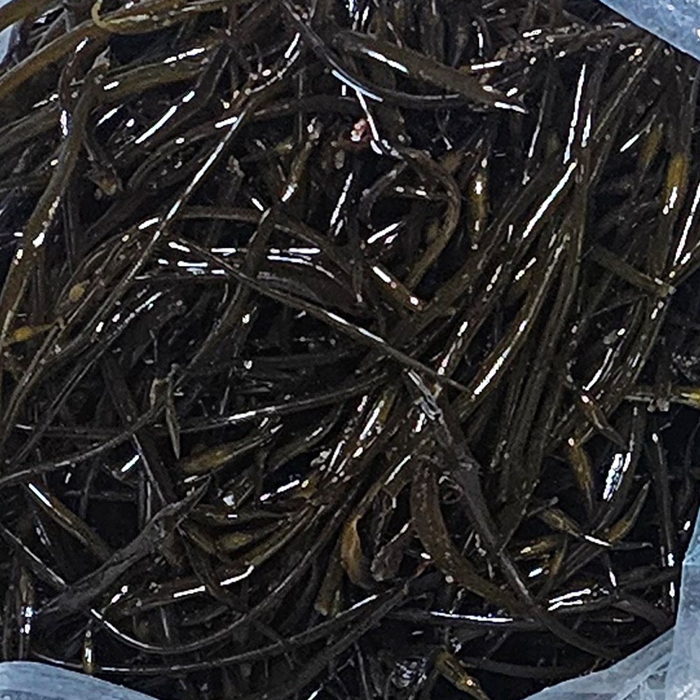 클릭마켓 완도산 톳 생톳 해초류 기장, 1개, 1kg 9,800원