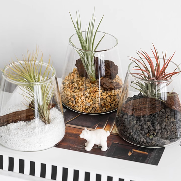 삼각형 유리병 이끼테라리움 용기 화병 어항 미니비바리움 수조 디자인컵 마리모 DIY 화분 3,800원