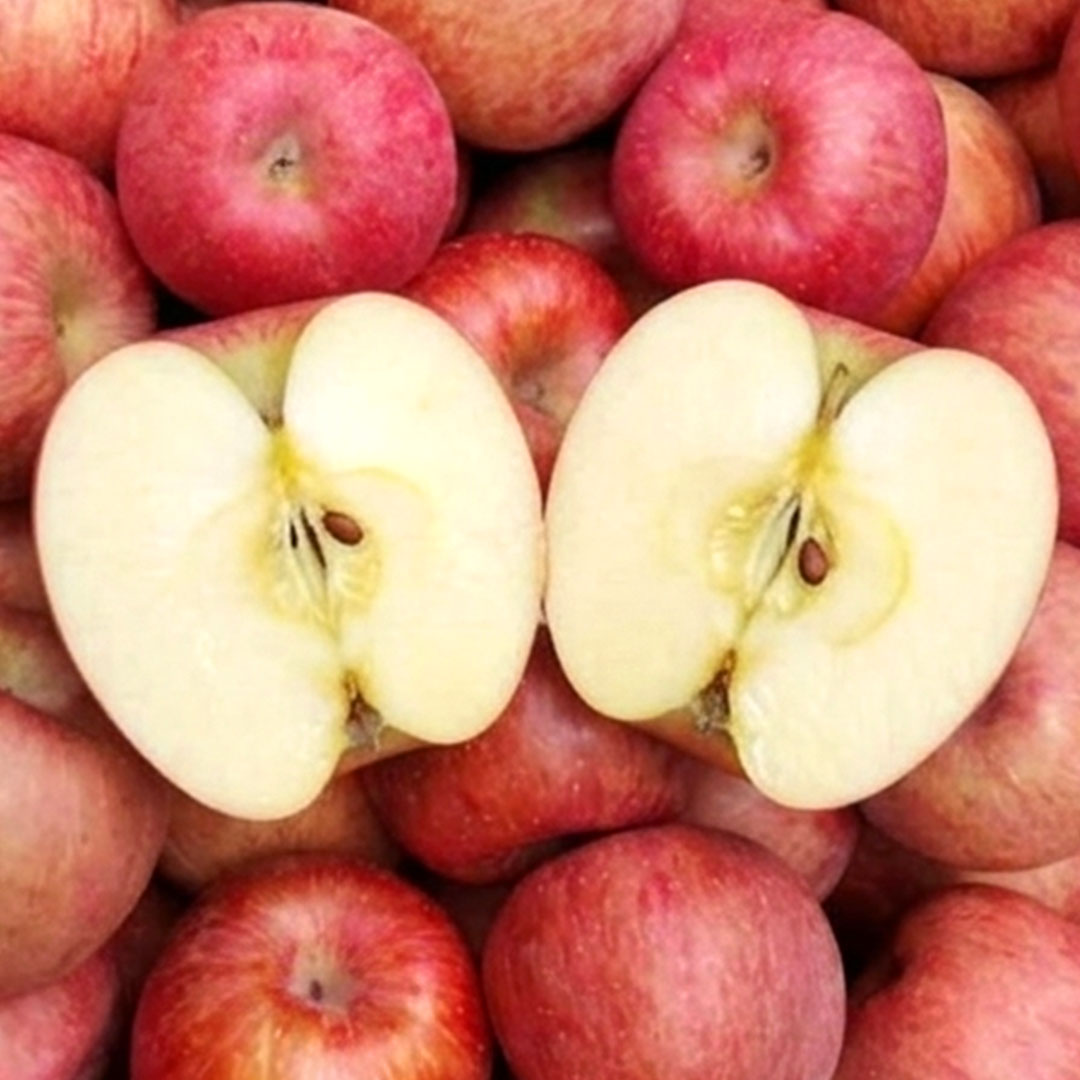 [재구매1위] 꿀당도 부사 사과 경북 농장직송 아삭상큼 고당도 24,500원