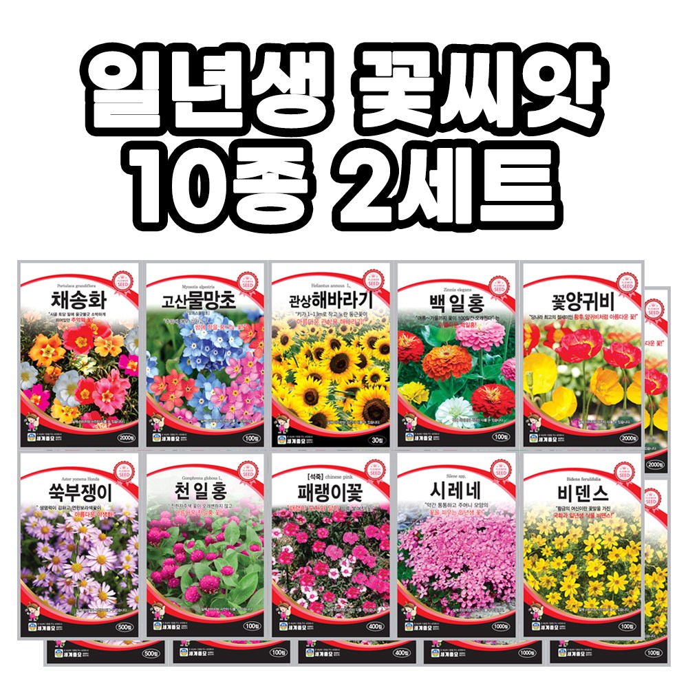 모칸도 꽃씨앗 모음 10종 일년생 꽃씨앗 노지 월동 야생화 씨앗 봄 가을 파종 꽃씨 42,000원