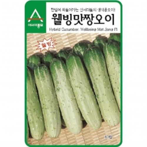아시아종묘 씨앗 오이 웰빙맛짱오이 40립, 1개 4,460원