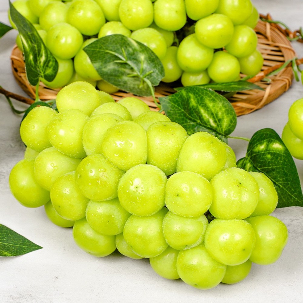 스윗쿡 과일앤 프리미엄 샤인머스켓 21,900원