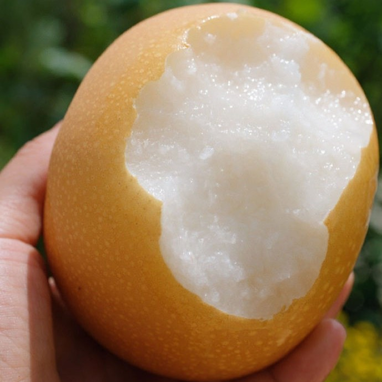 [초초특특가]달콤시원 농가엄선 아삭식감 맛풍미 나주배, 1박스, 3kg 18,900원