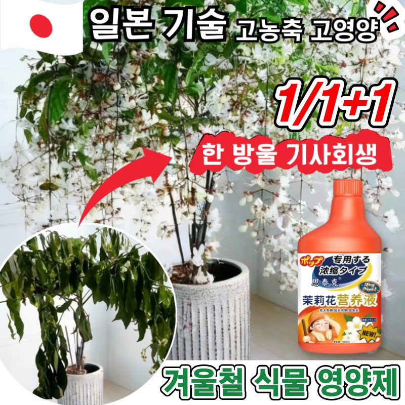 [고농축+고영양]1/1+1겨울철 식물영양제 가정용 화분 식물 병해관리제 잎마름 갈변 뿌리 썩음 예방 치료 광합성증진  칼슘 마그네슘 망간 붕소 철분 보충 다달이 피어나다 12,800원