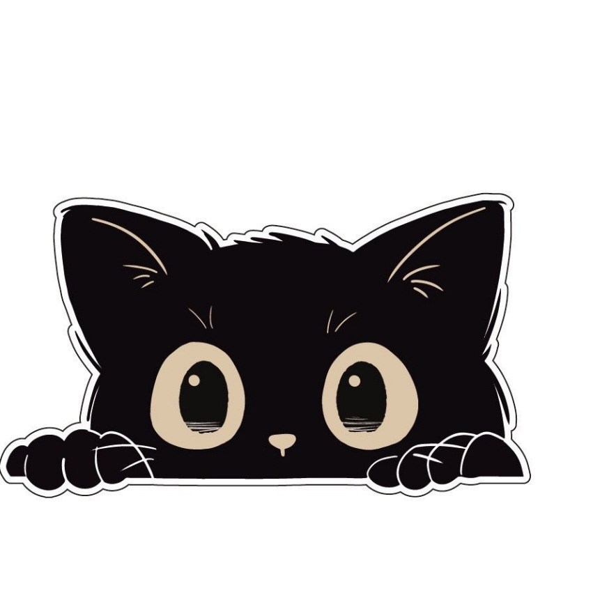 태쓰 자동차 스티커 흠집커버 스크래치 커버 차량 반창고 노트북스티커 8,300원