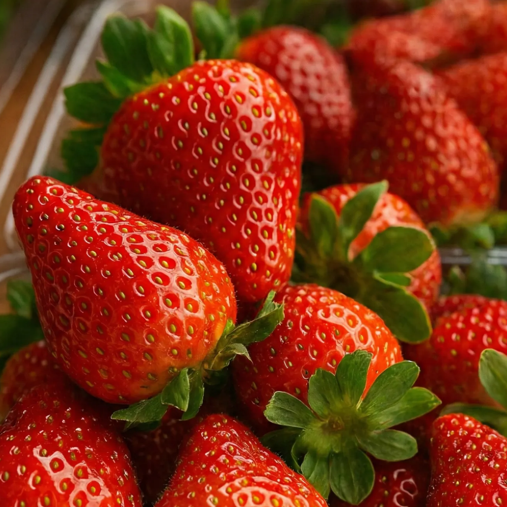 [산지직송] 아이들간식 고당도 논산 설향딸기 12,820원